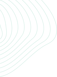 traits vert et décor